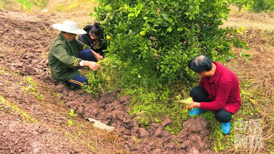 281877_1602998859989260.jpg 7.jpg