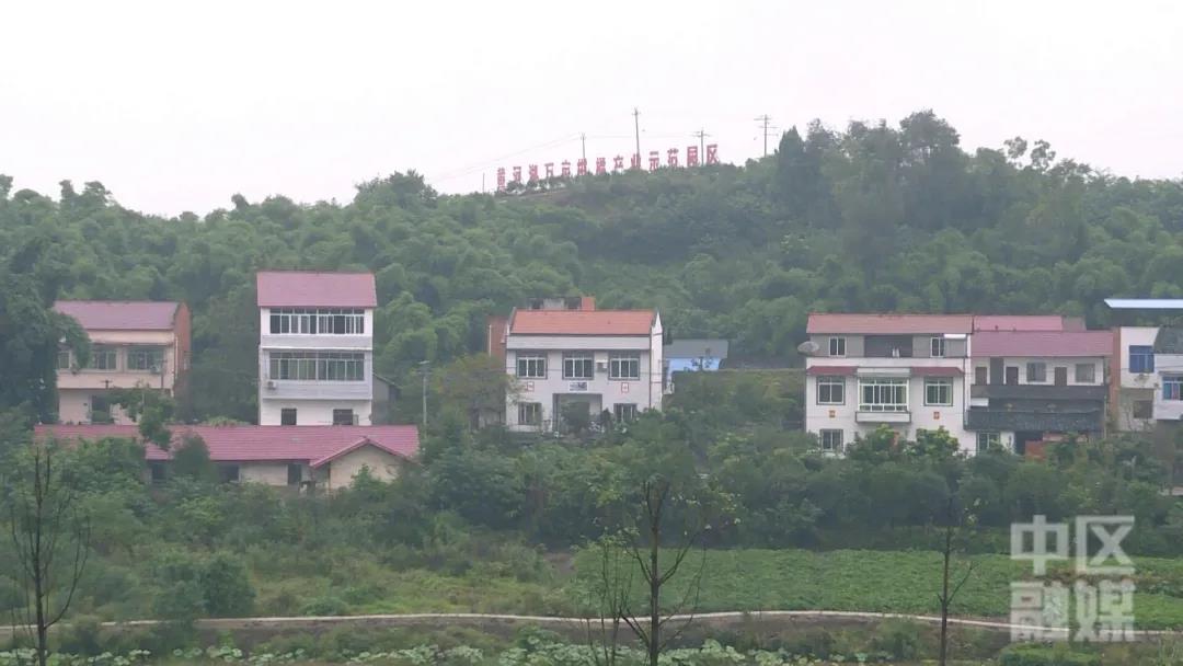 281877_1602998866965559.jpg 8.jpg