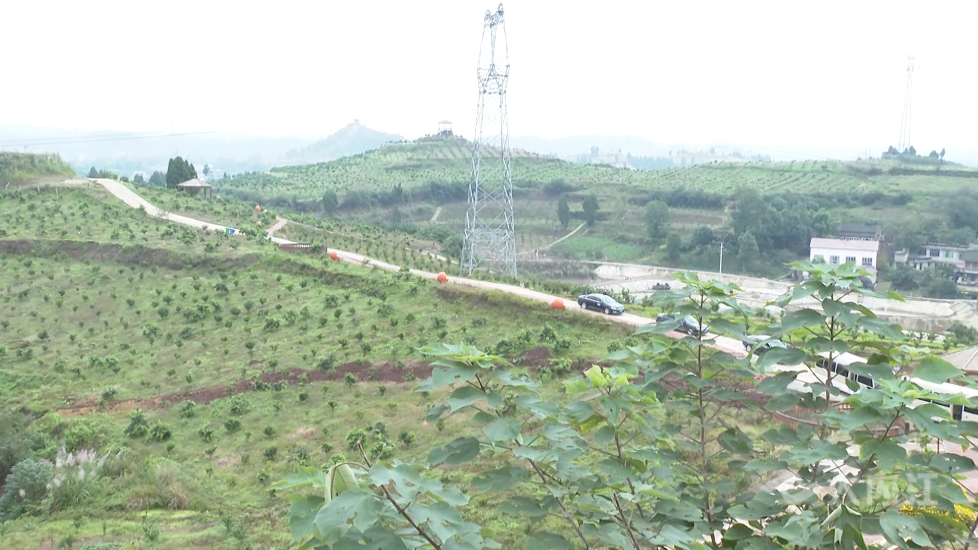 281877_1603244316194771.jpg 台资农业企业川渝行2.jpg