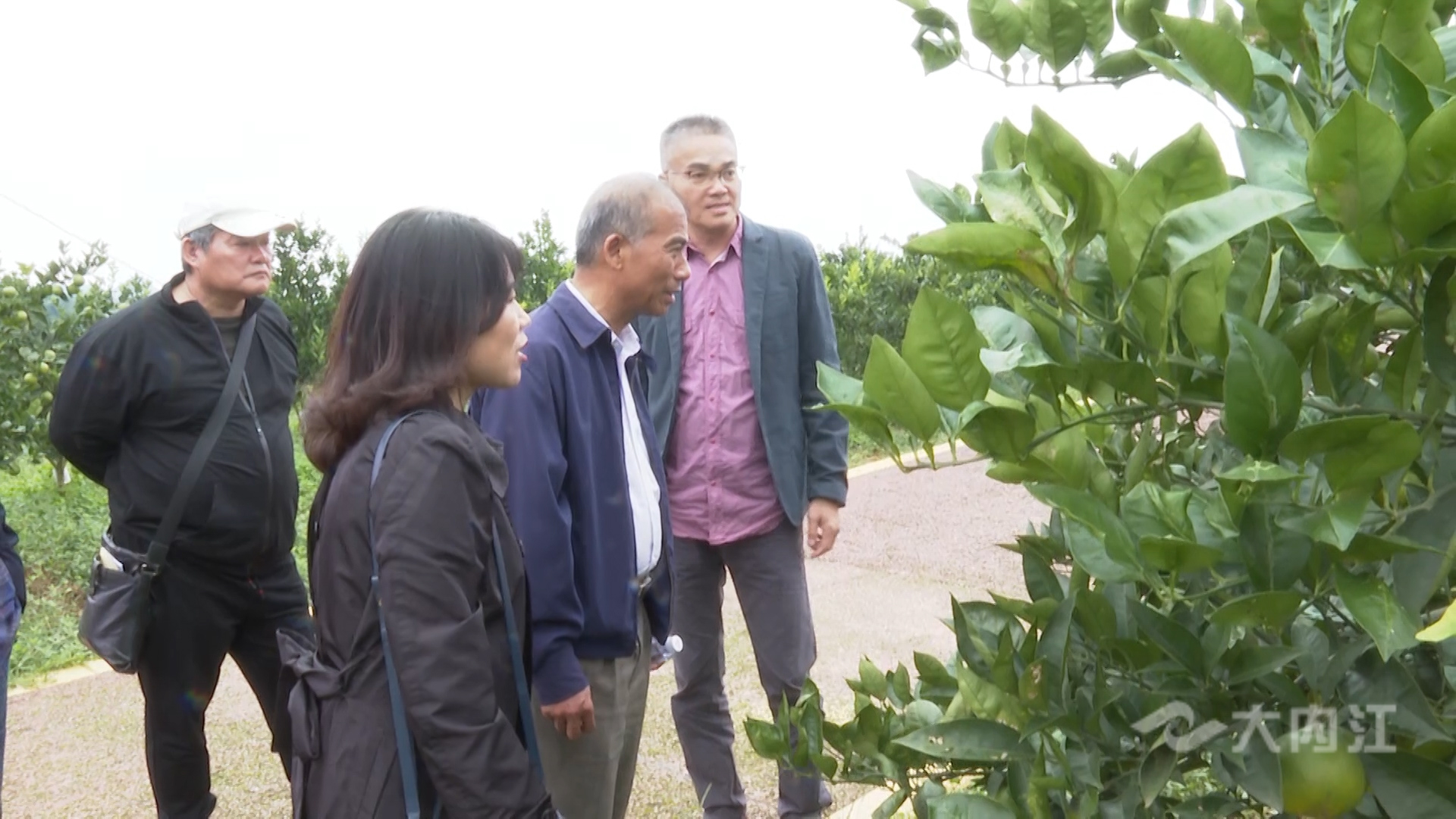 281877_1603244338384942.jpg 台资农业企业川渝行1.jpg