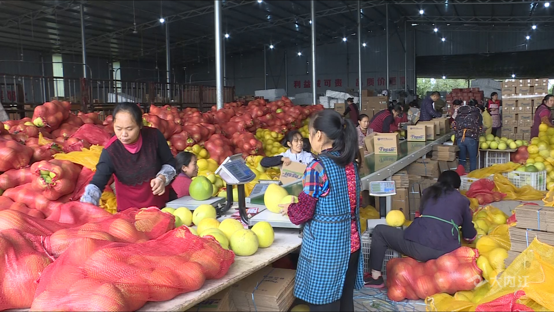 281877_1603357526565679.jpg 01.JPG