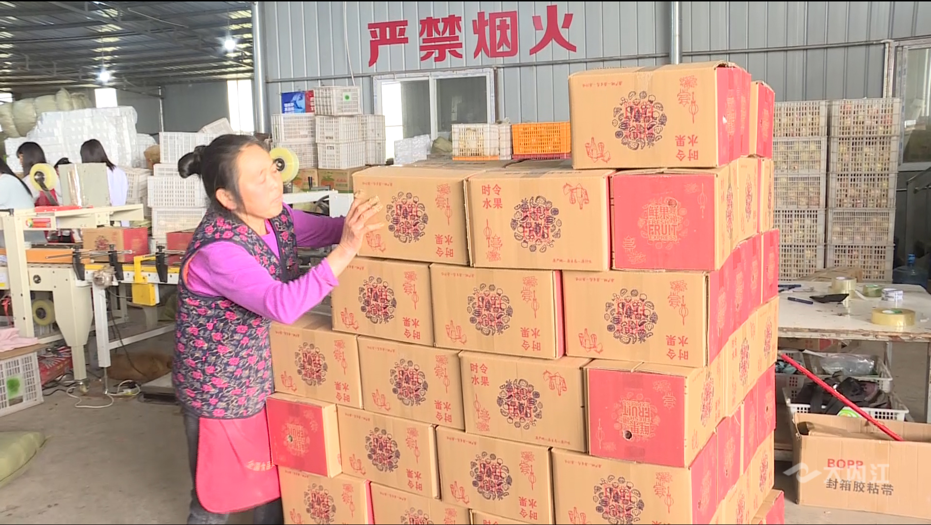 281877_1603357584638656.jpg 02.JPG