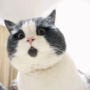 282020_1601695960167694.gif 1.gif