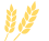 11.gif