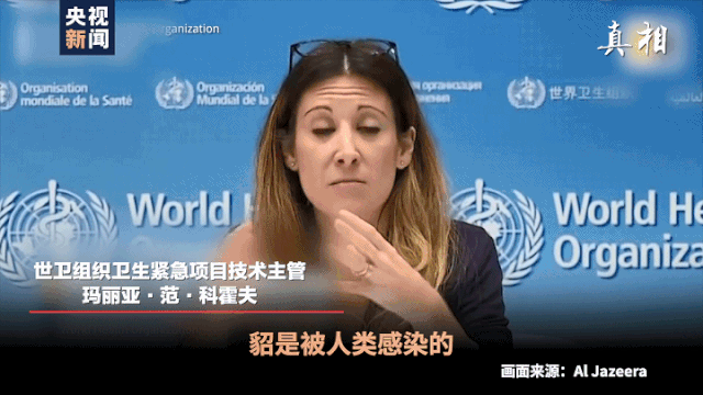 269955_1605485092325189.gif 1.gif