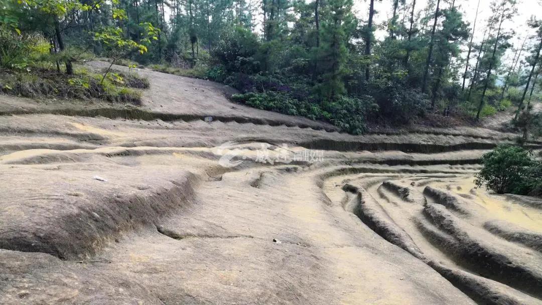 281606_1604452795386569.jpg 微信图片_20201104091923.jpg