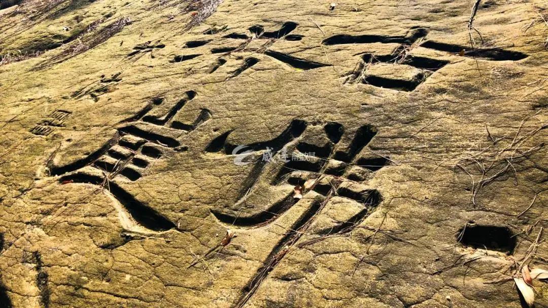 281606_1604452810287535.jpg 微信图片_20201104091933.jpg