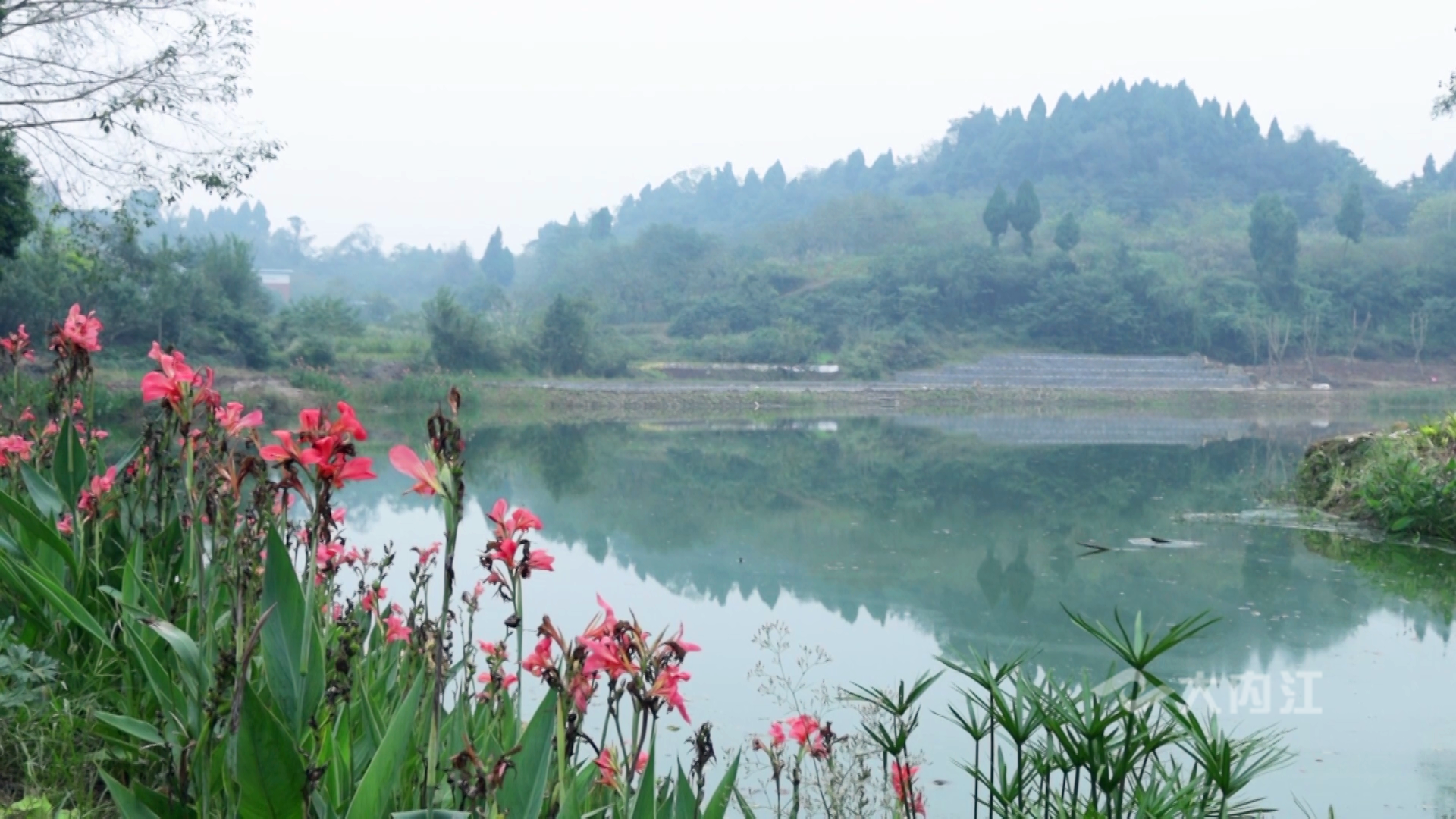 281606_1604460111722227.png 微信图片_20201104111909.png