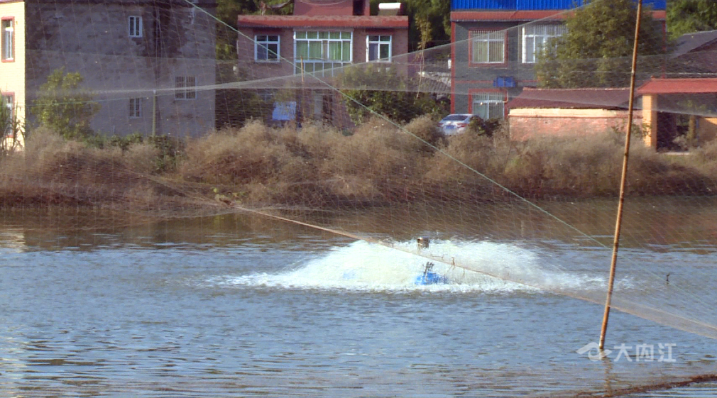 281606_1605083952535557.png 1.png