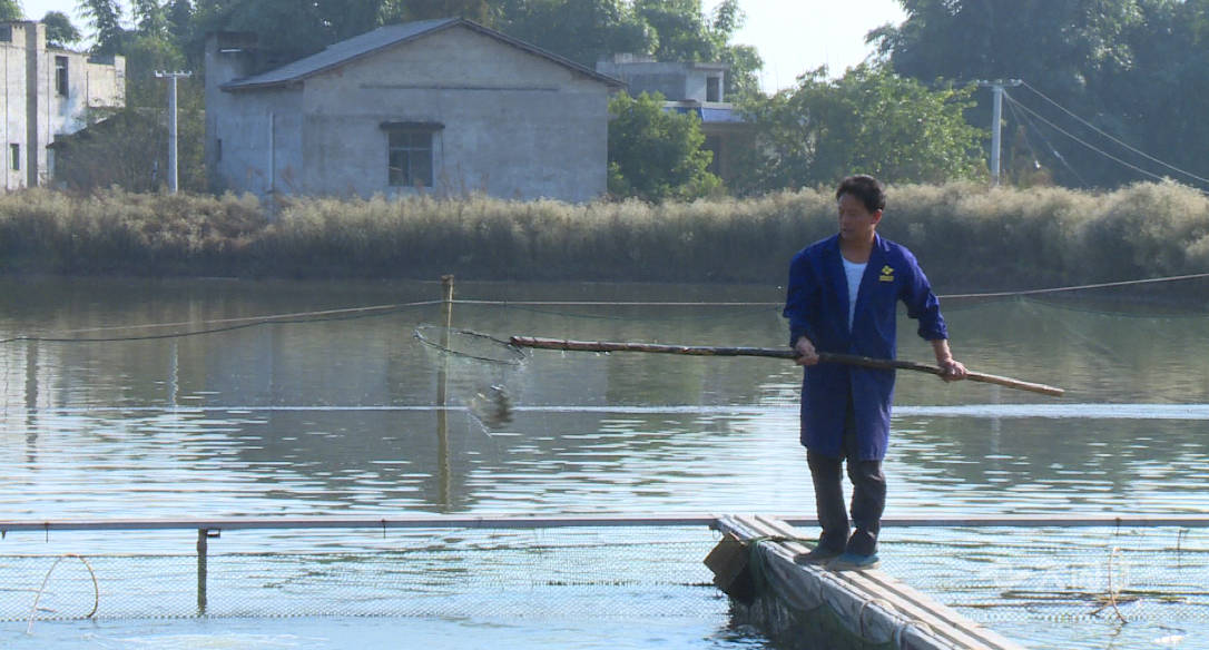 281606_1605083970985002.png 2.png