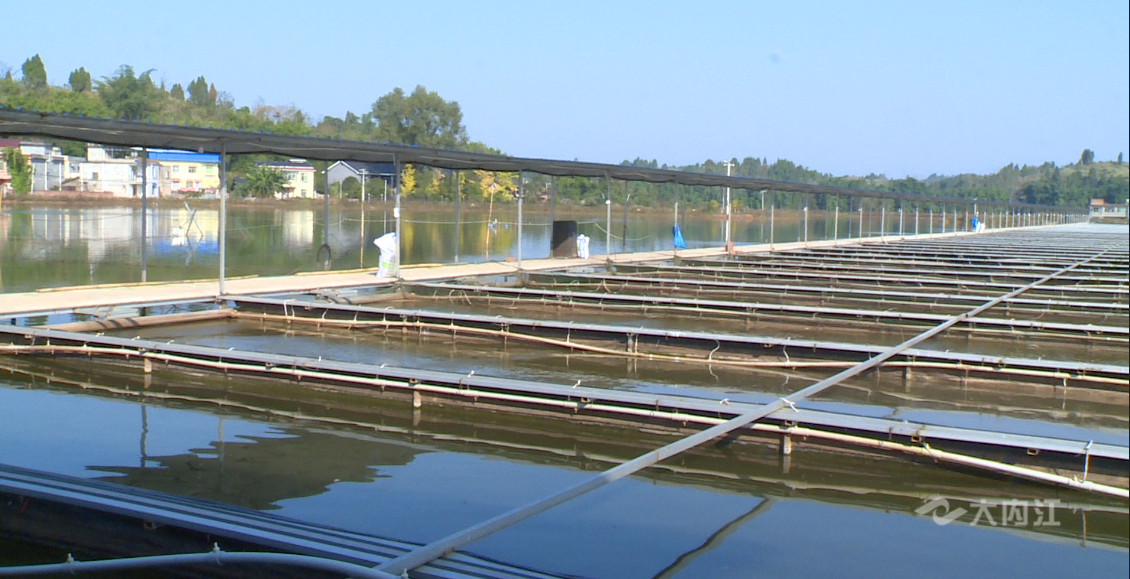 281606_1605083981561992.png 3.png