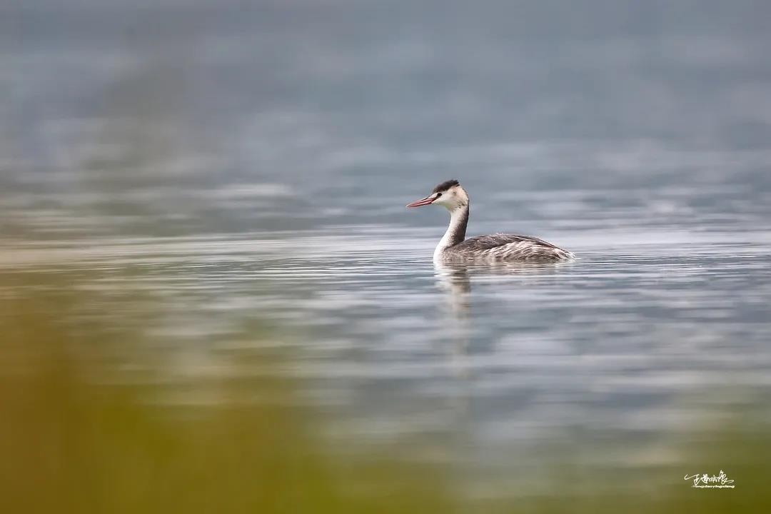 281606_1605789303955820.jpg 微信图片_20201119203207.jpg