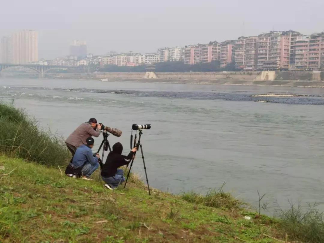 281606_1605789512196042.jpg 微信图片_20201119203217.jpg