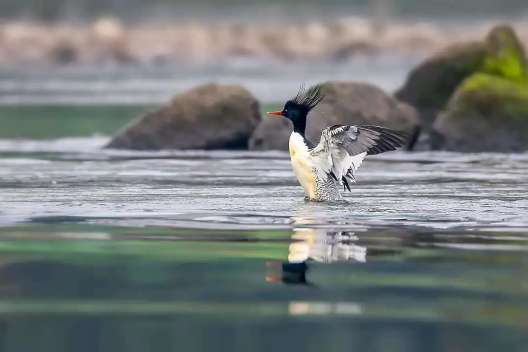 281606_1605789534399297.jpg 微信图片_20201119203223.jpg