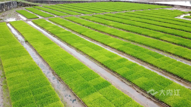 281876_1605255645267132.png 微信图片_20201113161622.png