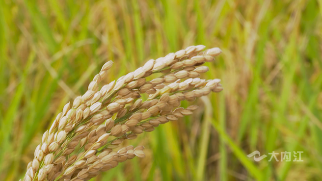 281876_1605255654719546.png 微信图片_20201113161617.png