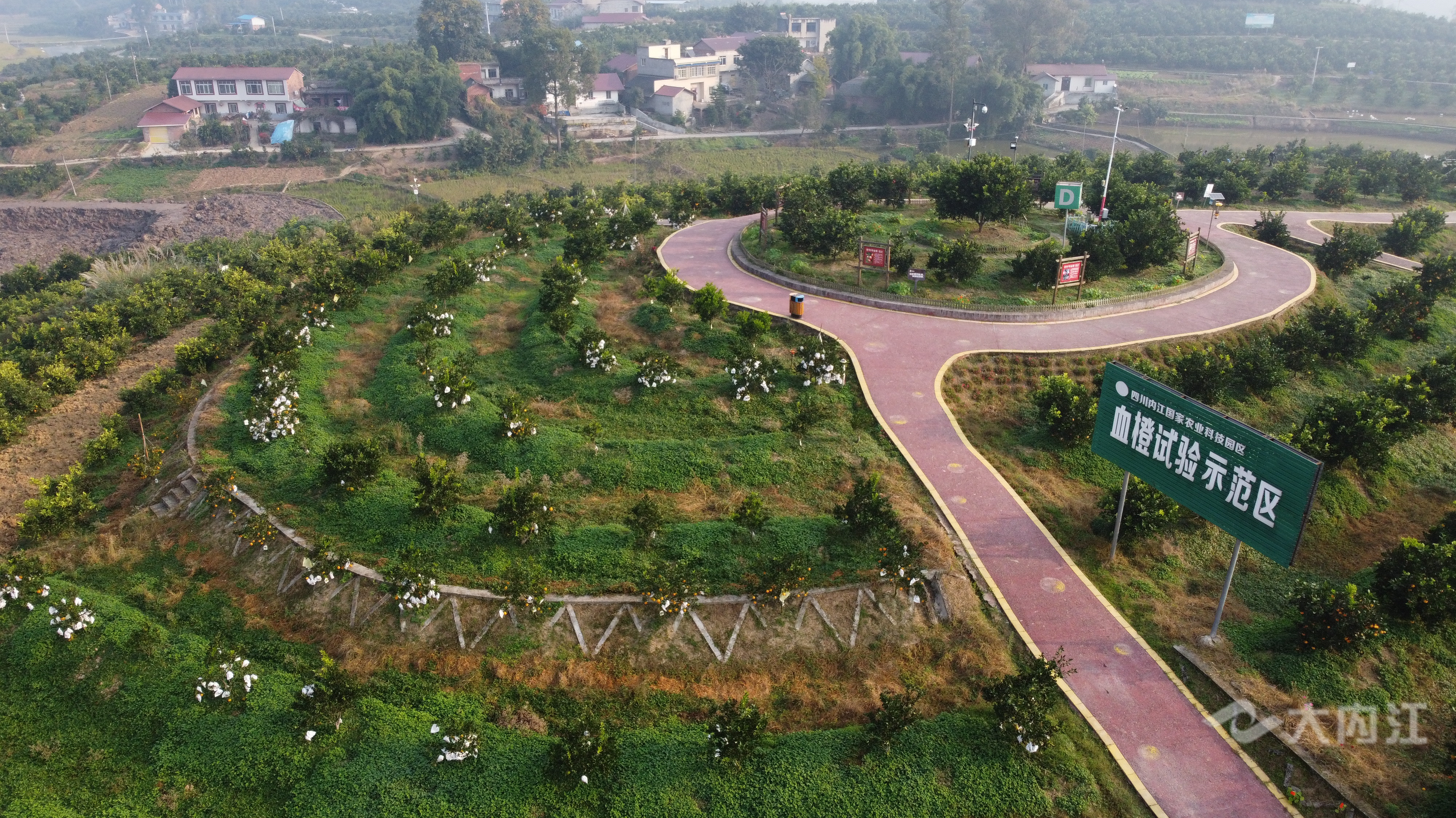 281876_1605838704440505.jpg DJI_0143.JPG