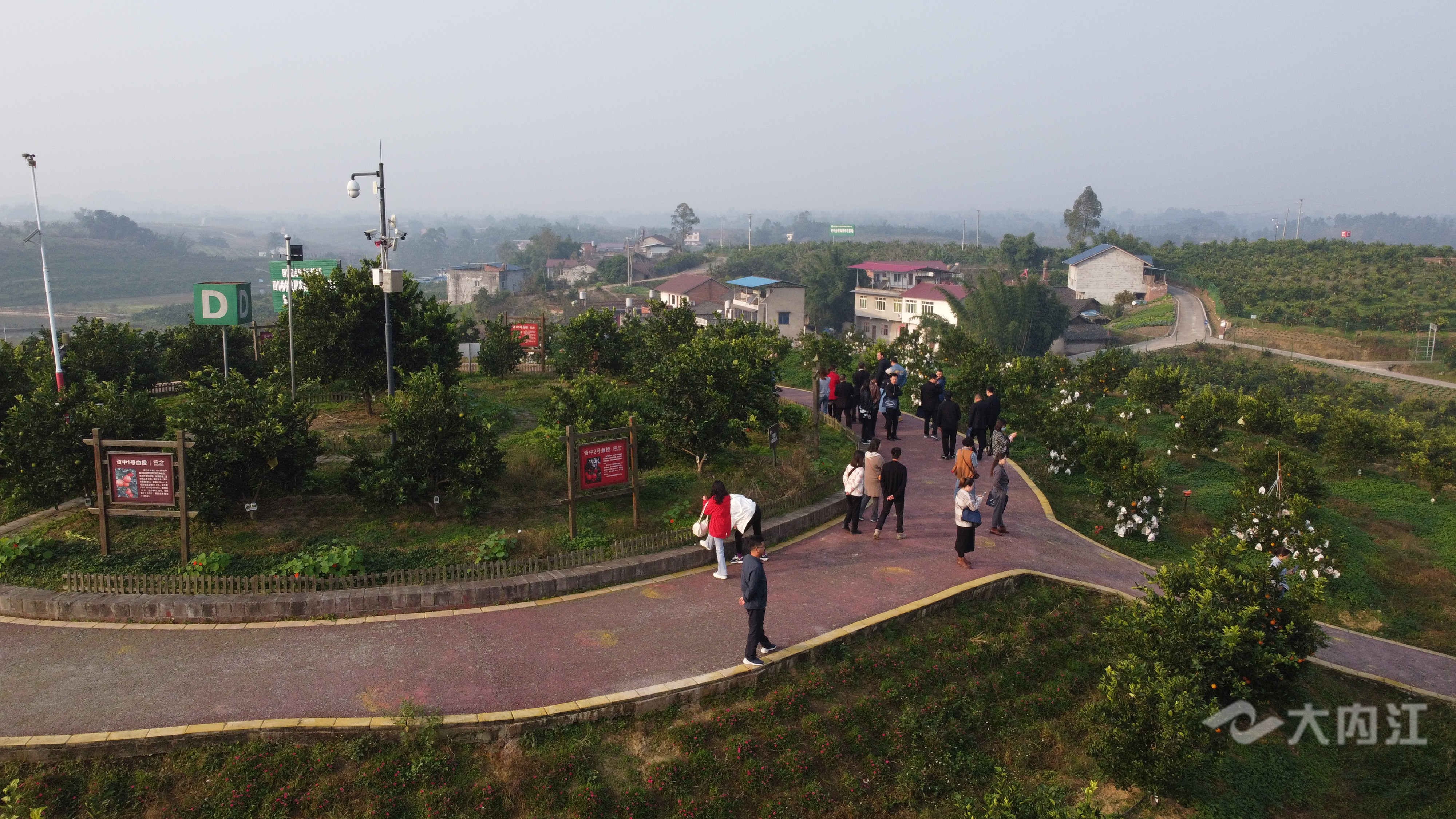 281876_1605838737644632.jpg DJI_0121.JPG