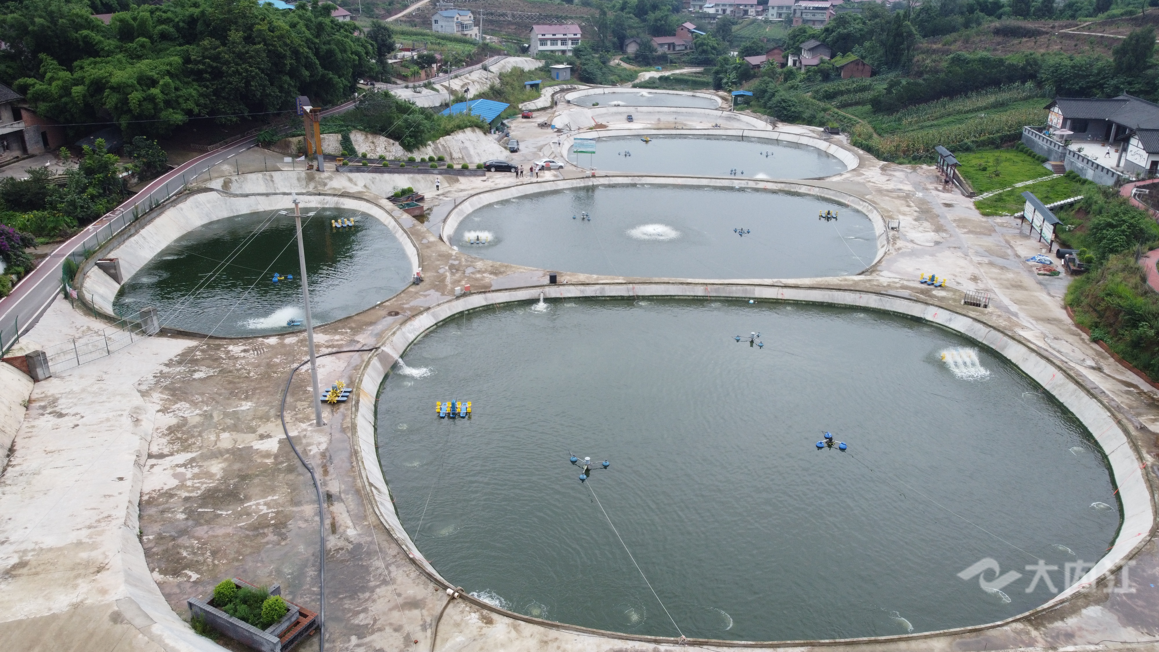 281876_1605838772546569.jpg DJI_0267.JPG