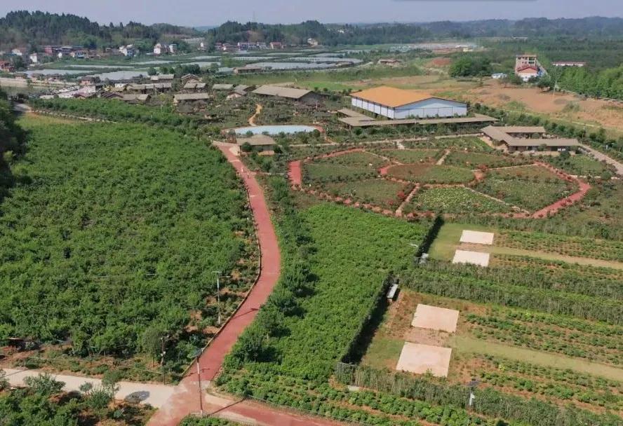 281876_1606046277928063.jpg 微信图片_20201122200316.jpg