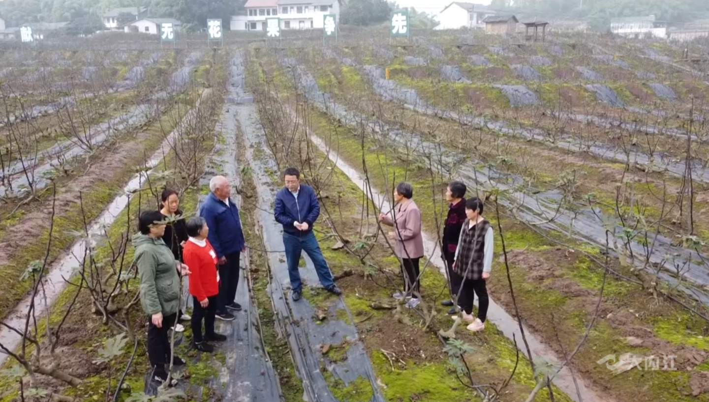 281877_1604284325195728.jpg 1.JPG