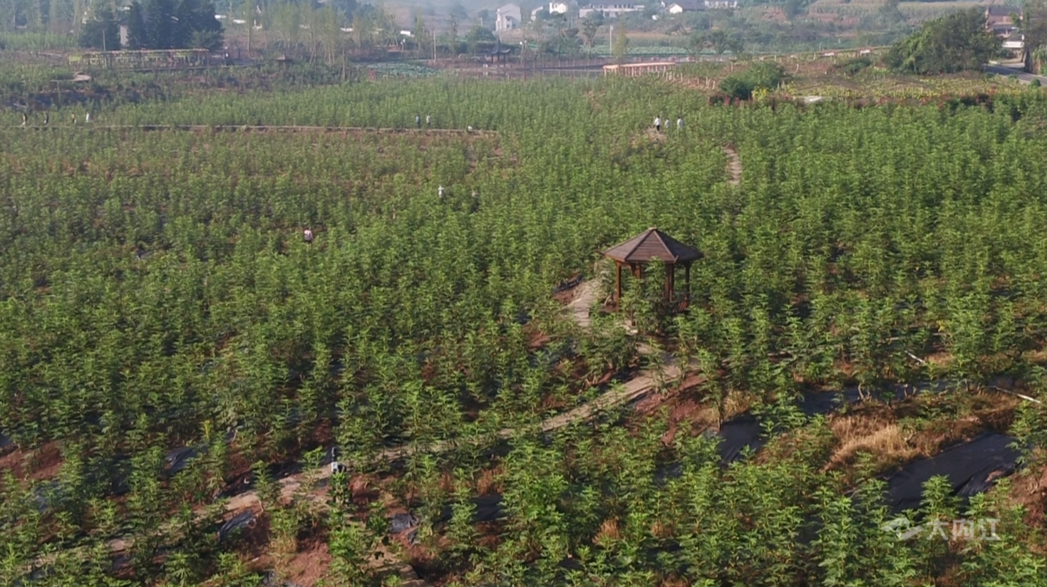 281877_1604284354847225.jpg 4.JPG