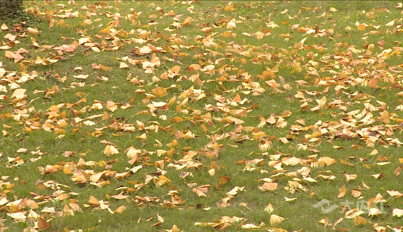 281877_1604386258336861.jpg 12.jpg