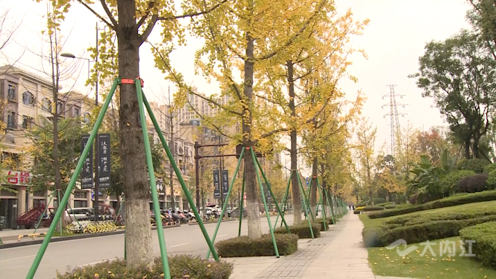 281877_1604386303388483.jpg 5.jpg