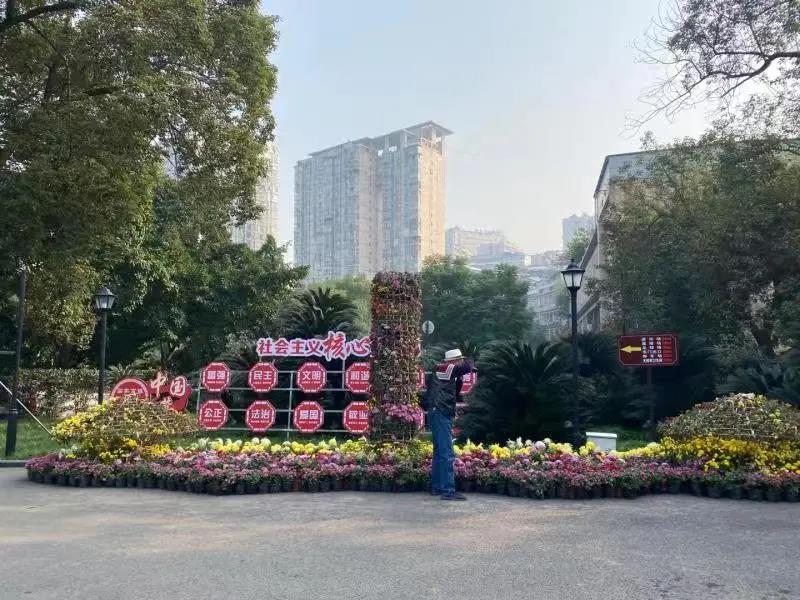 281877_1605605025732619.jpg 1.jpg