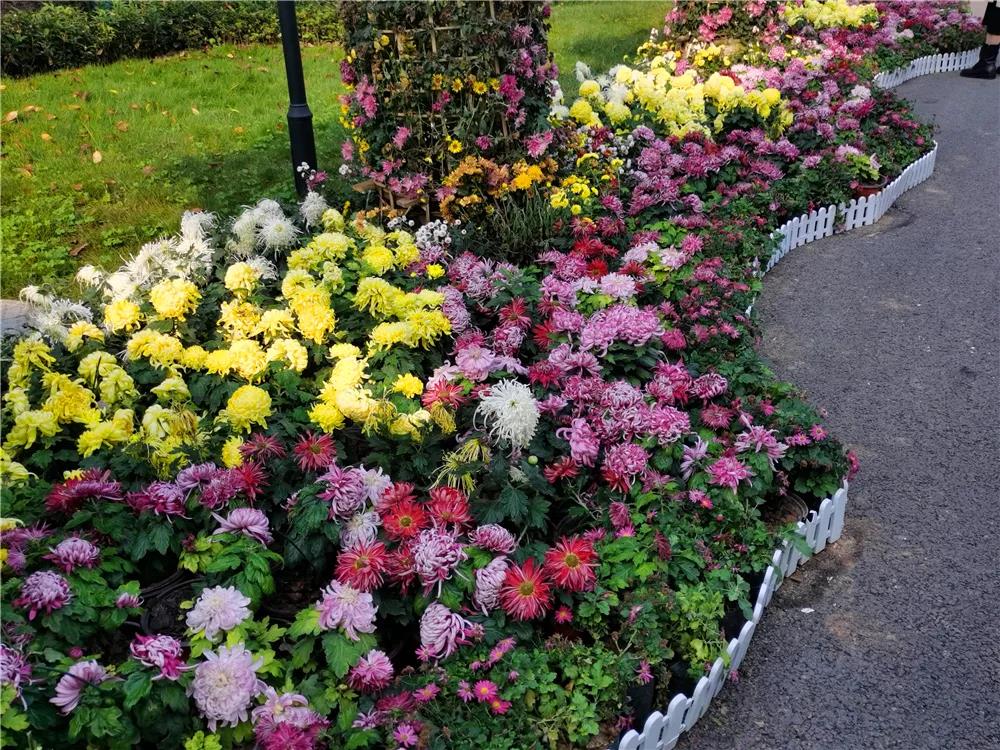 281877_1605605048178744.jpg 3.jpg