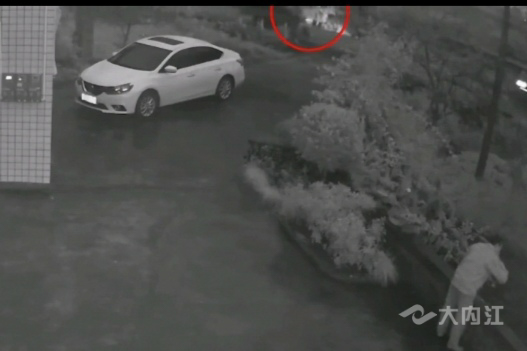 281877_1606627927289404.jpg 21.jpg