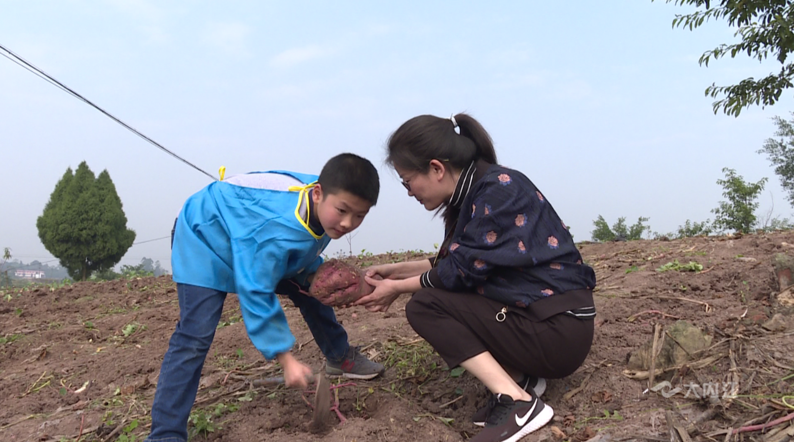 281877_1606730114596439.png QQ图片20201127142231.png