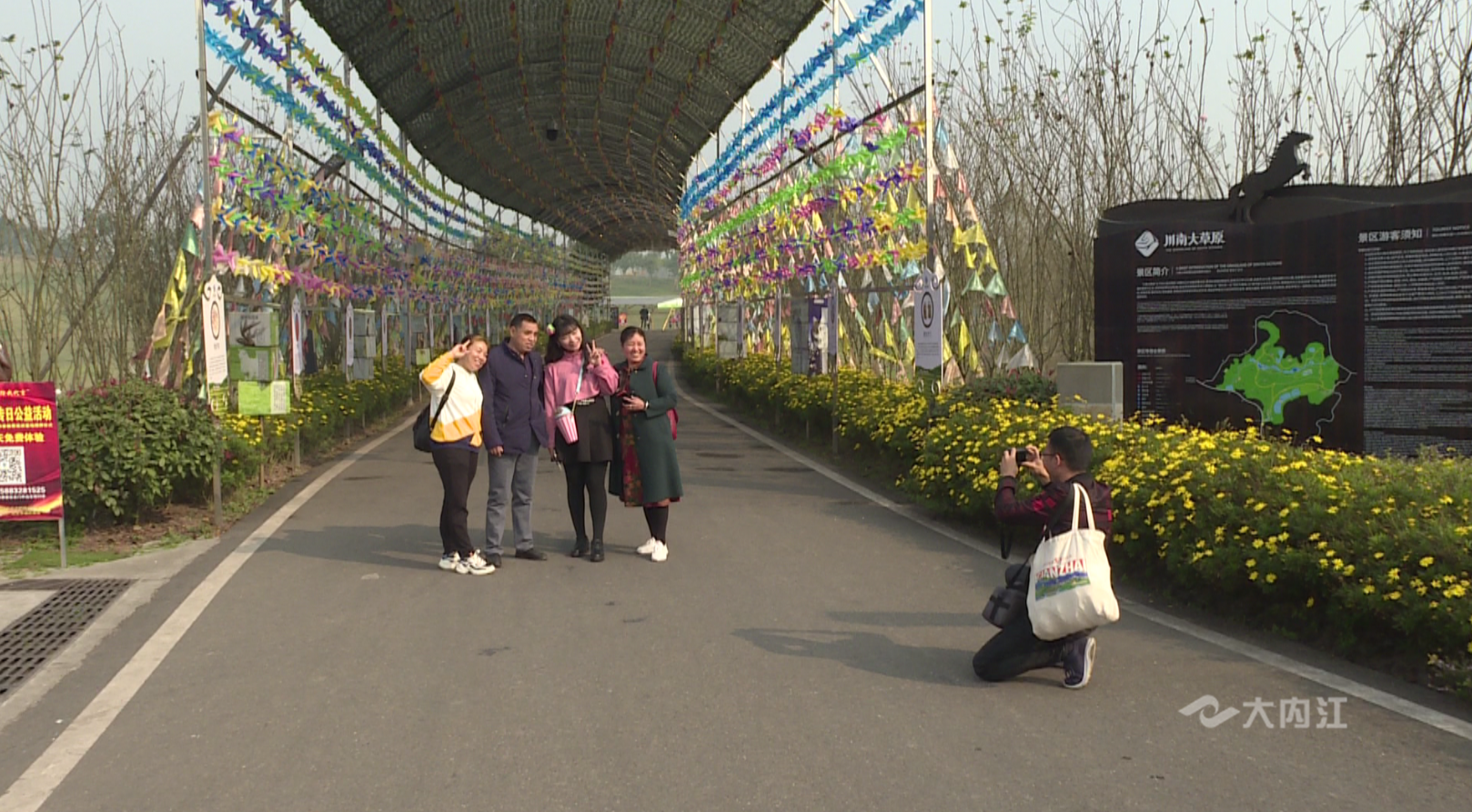 282377_1605692203137660.png 草5.png