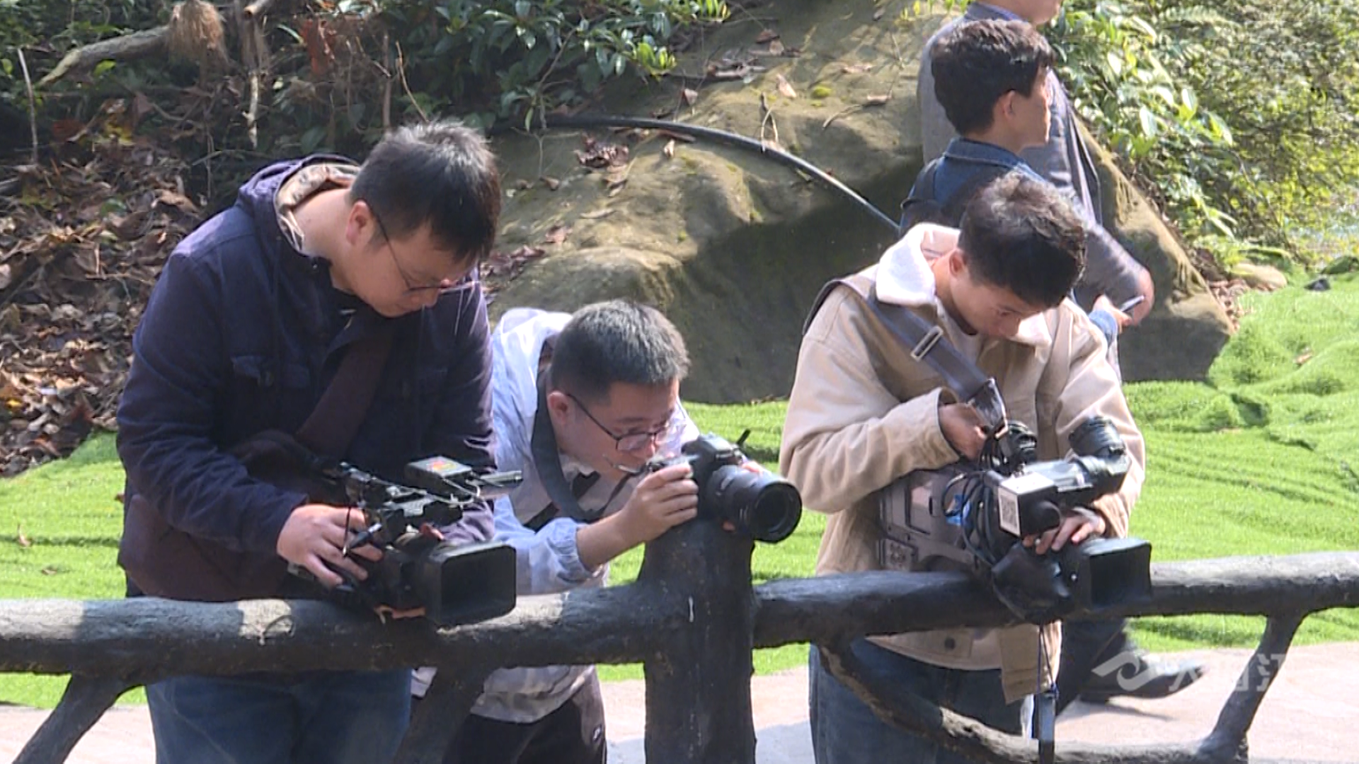 282377_1605752339761164.png 新闻4.png