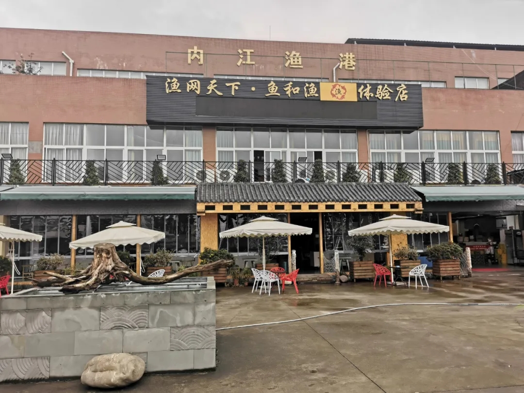 269955_1608914301190459.jpg 21.webp.jpg