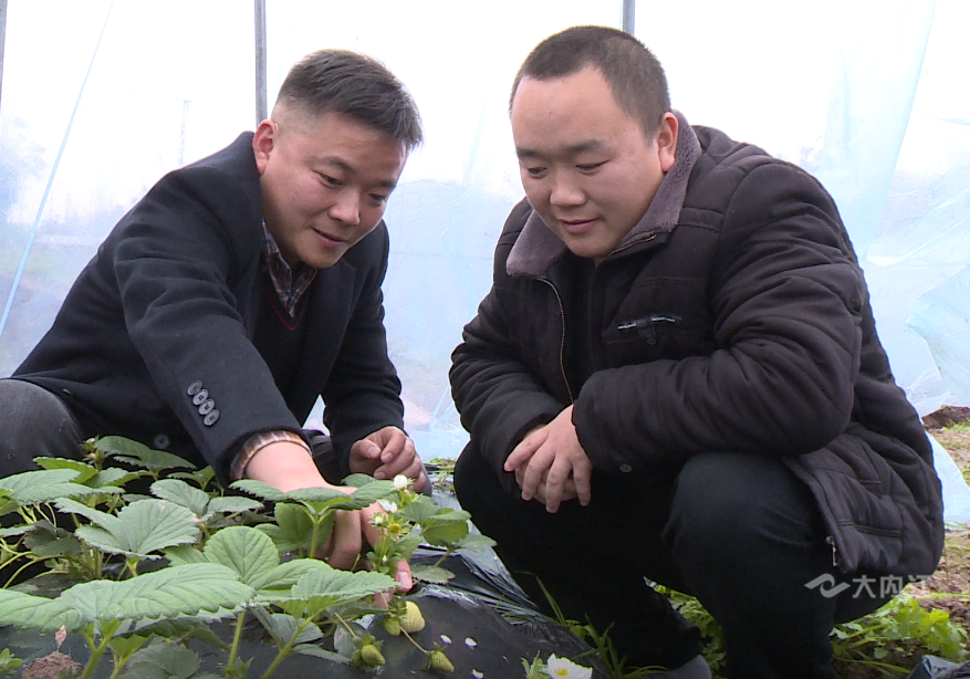 281876_1607653698410699.png 微信图片_20201211100758.png