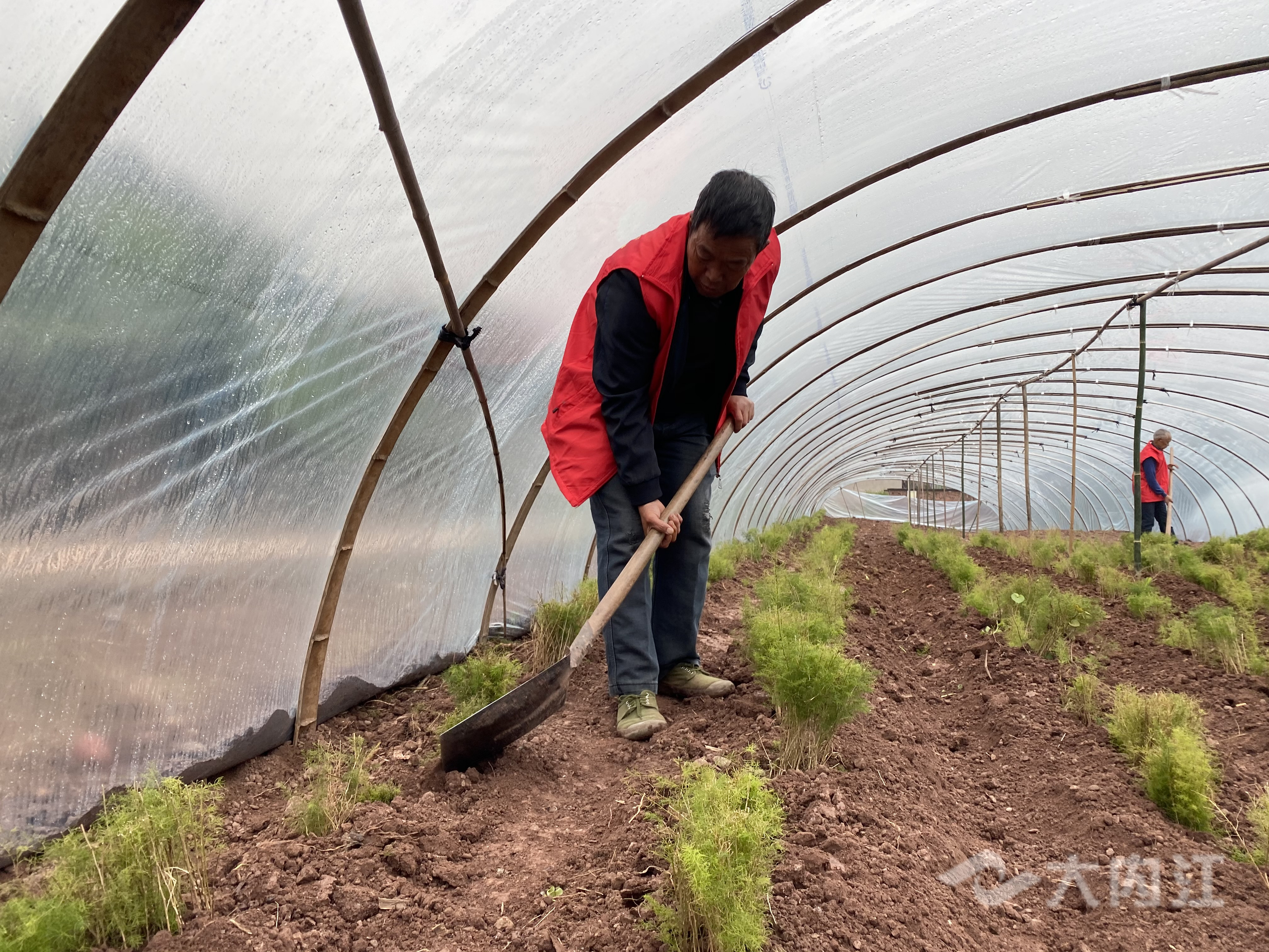 282377_1606897635424430.jpg 药材2.jpg