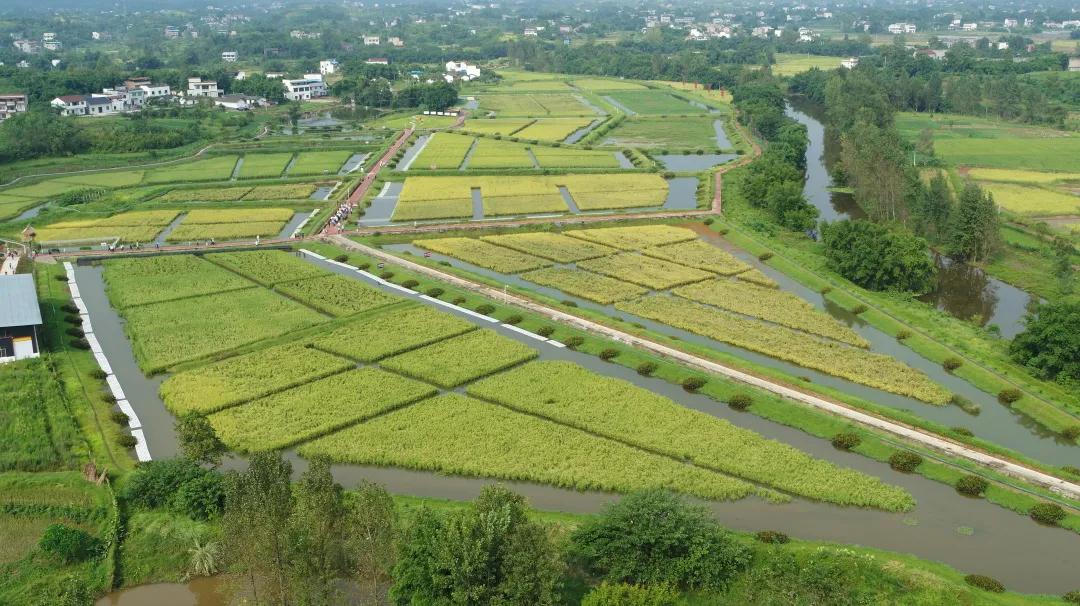 281876_1611366912772782.jpg 微信图片_20210123100535.jpg