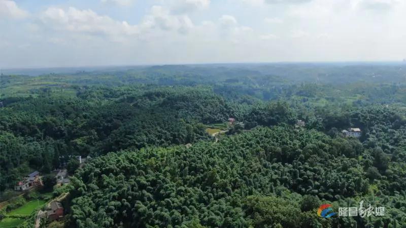 281876_1611366999847544.jpg 微信图片_20210123100542.jpg