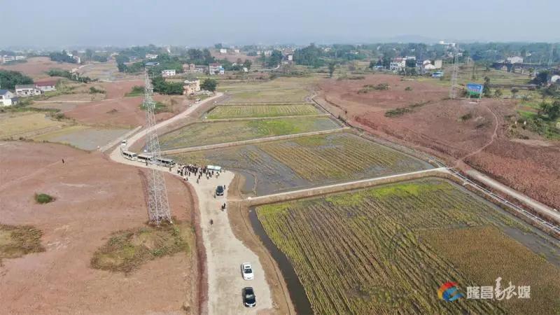 281876_1611367016374200.jpg 微信图片_20210123100548.jpg