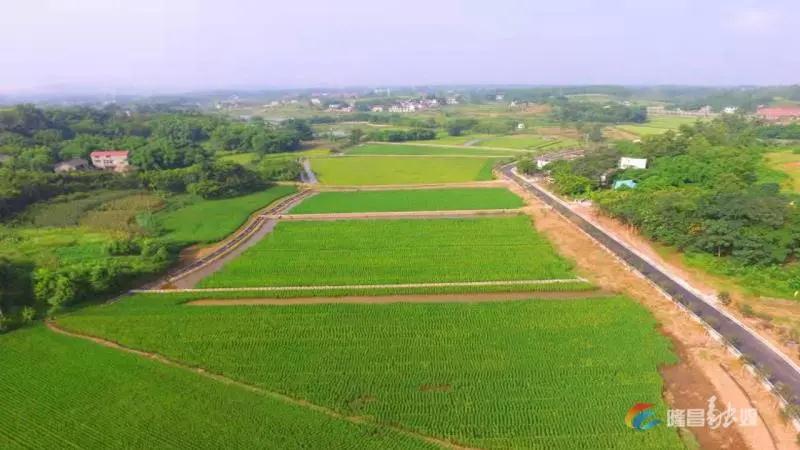 281876_1611367022699969.jpg 微信图片_20210123100550.jpg