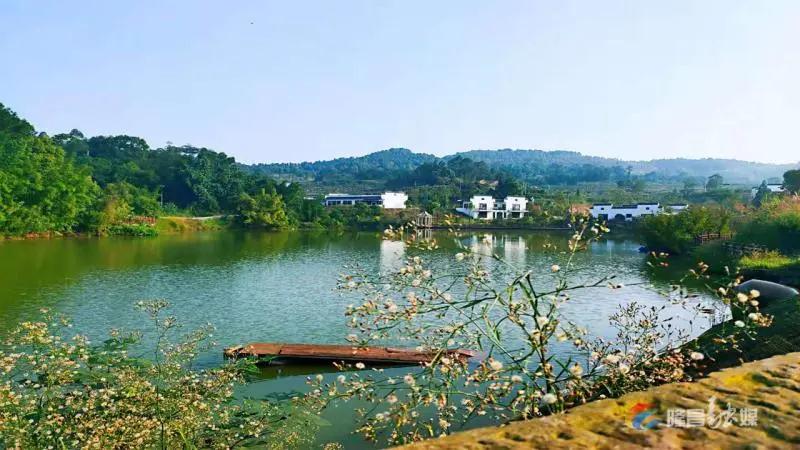 281876_1611367028729615.jpg 微信图片_20210123100553.jpg