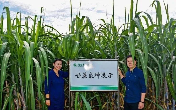 281876_1611538651915313.jpg 微信图片_20210125093650.jpg