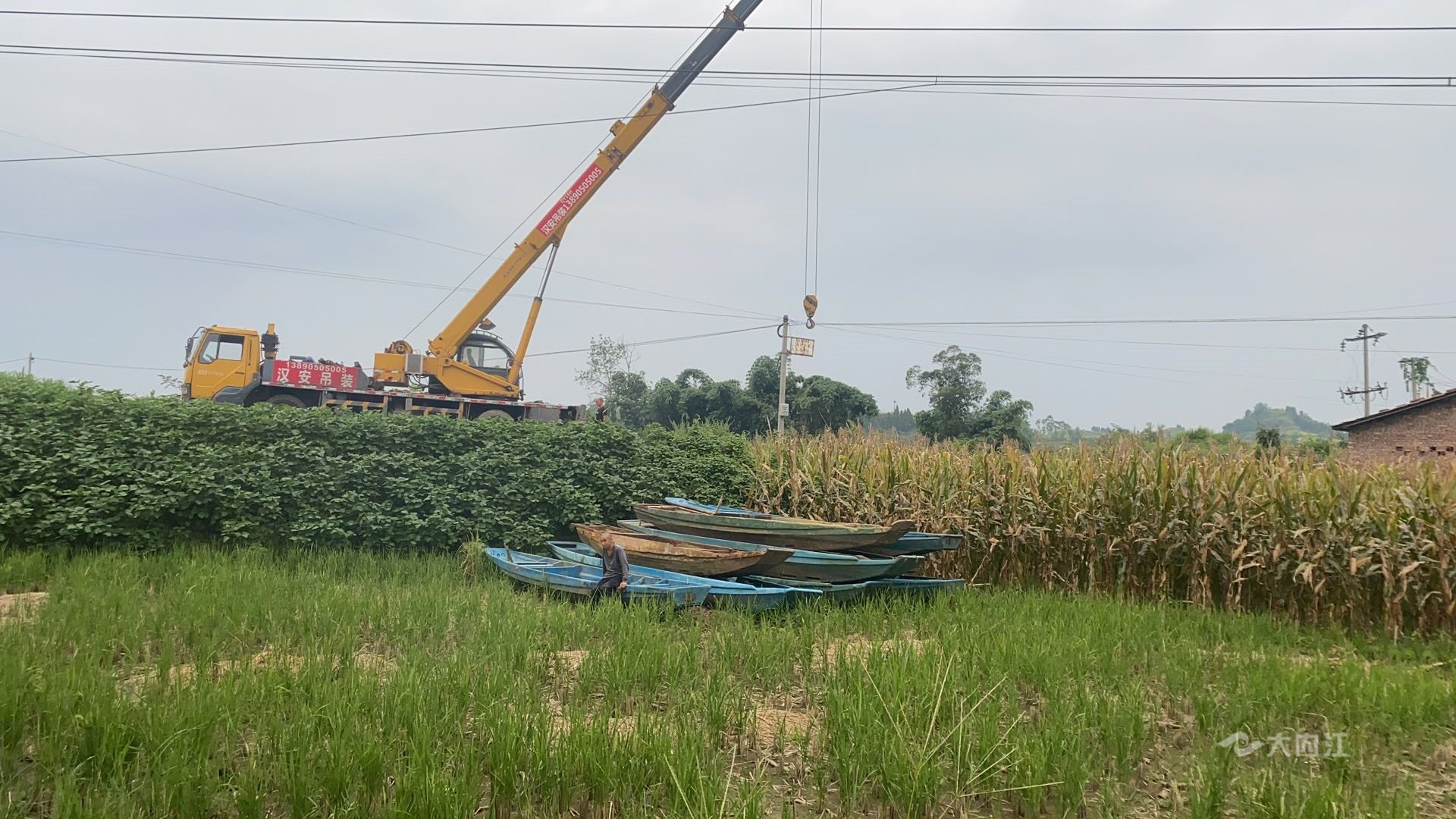 281876_1611538991293029.jpg 渔船上岸 (2).jpg