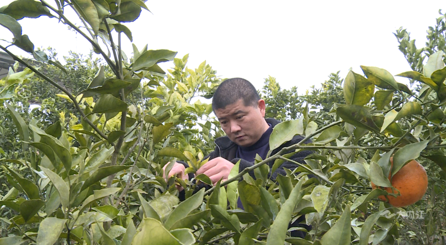 281876_1611539141434592.png 微信图片_20210124204312.png