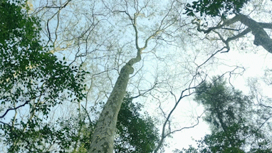 微信图片_20210125094853.gif