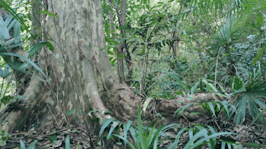 微信图片_20210125094858.gif