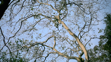 微信图片_20210125094902.gif