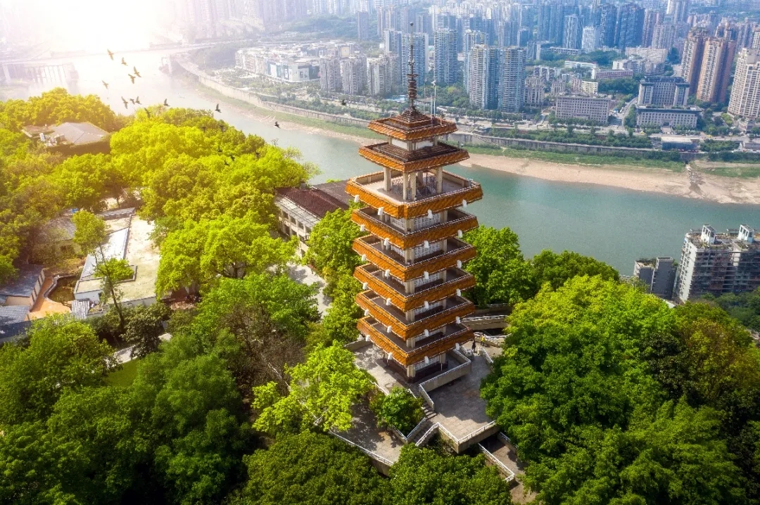 282377_1610856416760318.jpg 重庆22.webp.jpg