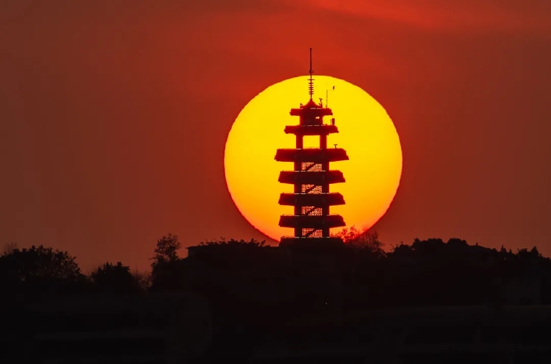 282377_1610856448227858.jpg 重庆23.webp.jpg